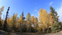 MG_9754