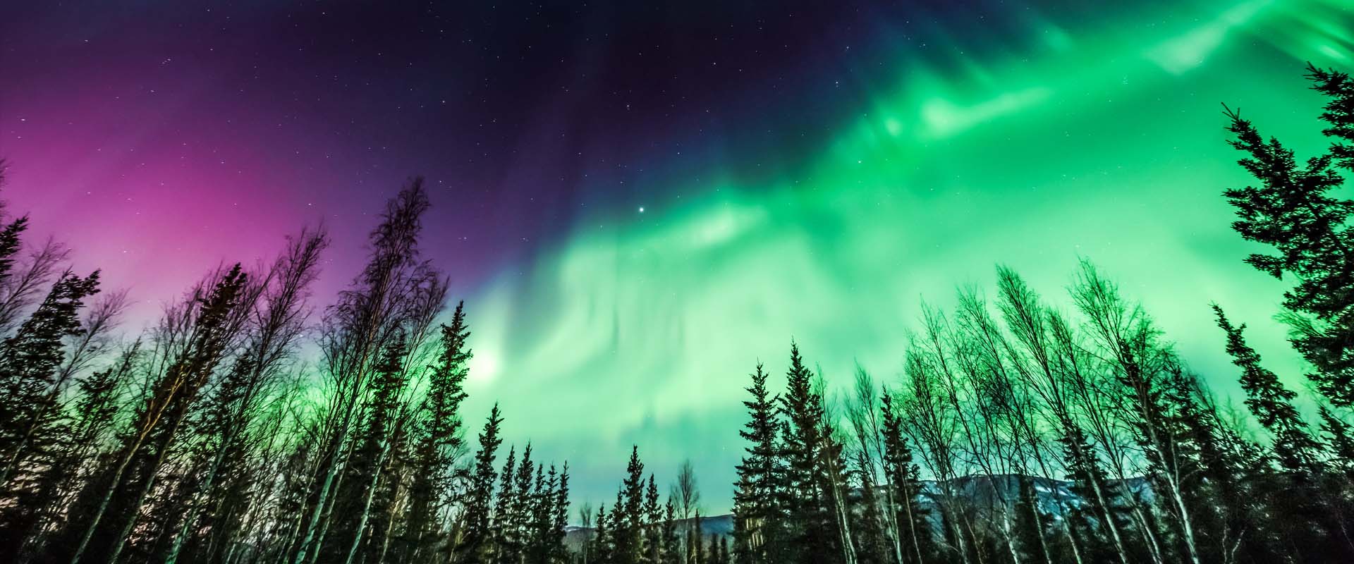 Yellowknife Northern Lights Tour From Vancouver Shelly Lighting