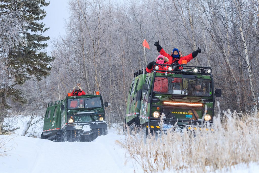 yellowknife tours northern lights